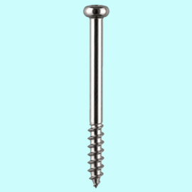 Cancellous Screw 6.5 Mm (hex Slot Thread Length 16 Mm Drill Dia 3.2 Mm)