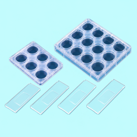 Cavity / Vdrl / Other Slides