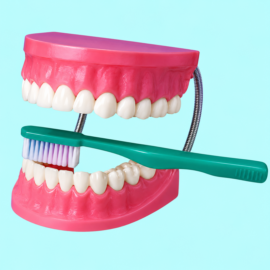 Giant Dental Care Model With Toothbrush