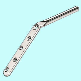 Hip Fixation Nails