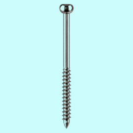 Malleolar Screw 4.5 Mm (hex Slot Drill Dia 3.2 Mm)