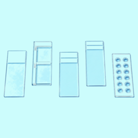 Printed Slides
