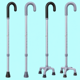 Walking Stick